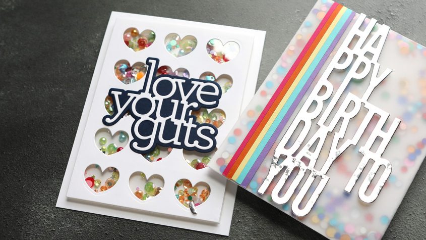 TWO Fun Shaker Cards! How to make a Small Window Shaker & Full-Card Vellum Shaker